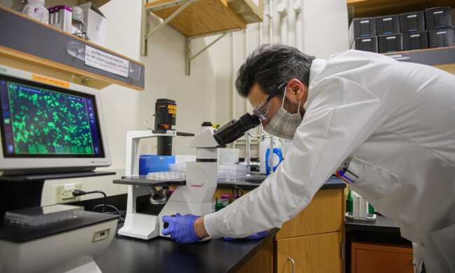 Вчений дивиться в мікроскоп