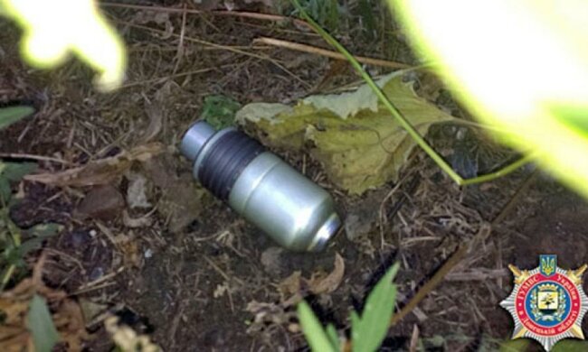 В Донецкой области подростки пытались взорвать гранату (фото)