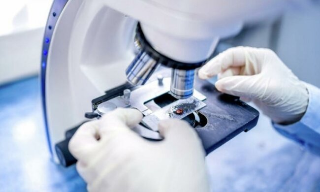 Супербактерія вб'є людину за день