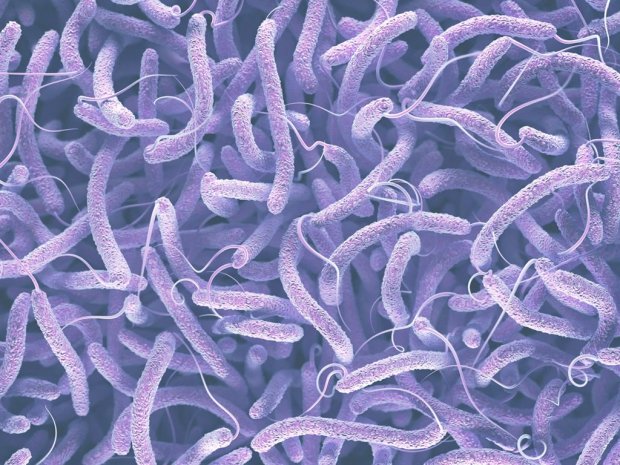 От холера: медики "викрили" страшну інфекцію