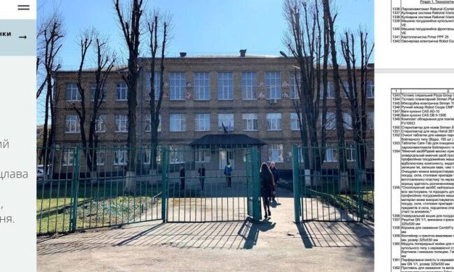 Тендер на "золоті" овочерізки та пательні. Фото Telegram