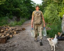 Тварини на Донбасі, фото з фейсбук