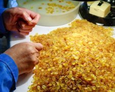 Правоохоронці "кришували" бурштинову мафію на Рівненщині