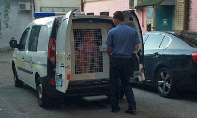 У центрі Києва затримали сімох «жриць кохання» (фото)