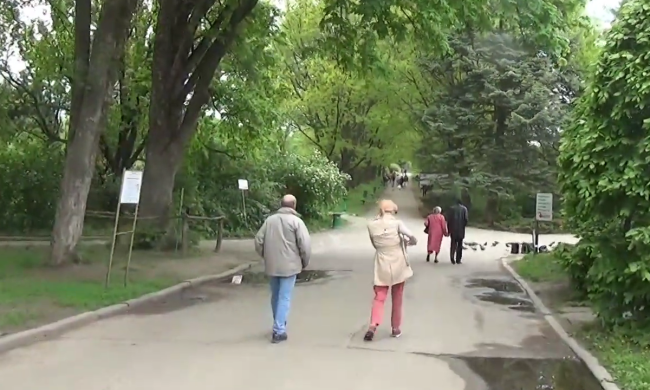 Весняна погода. Фото: скрін youtube