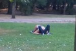 Львівська пристрасть: пара кохалась у парку на очах у перехожих