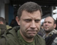 Показувати за гроші: Невзоров знайшов унікальний талант Захарченка