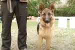 Скрін, відео YouTube