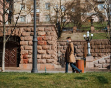 В Киеве беззащитного малыша чуть не съели бездомные, спасли прохожие