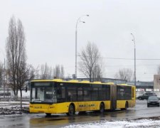 Полторы сотни автобусов "потерялись" во Львове