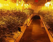 Громадянин ЄС відкрив власну нарколабораторію на Черкащині (фото)