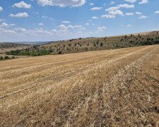 Незаконне використання лісових земель