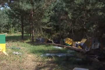 На Тернопольщине неизвестный сжег пчел во сне, ульи в пепел