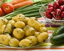 Как правильно готовить молодую картошку