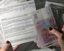 Які пастки приховує субсидія