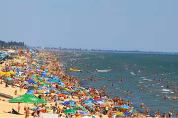 Українські пляжі перетворюються на стихійні кладовища, гори трупів прибирають тракторами: моторошні кадри