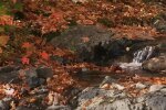 Погода в октябре, скриншот с видео