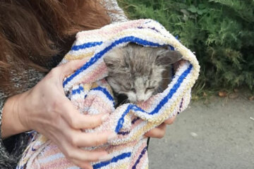 фото: ГСЧС в Днепропетровской области