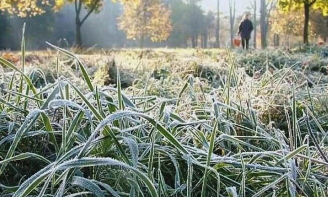 Заморозки, фото из свободных источников