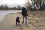 Выгул собаки, фото: скриншот из видео