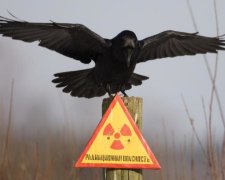 Главное за ночь: бедные украинцы и сериал о Чернобыле