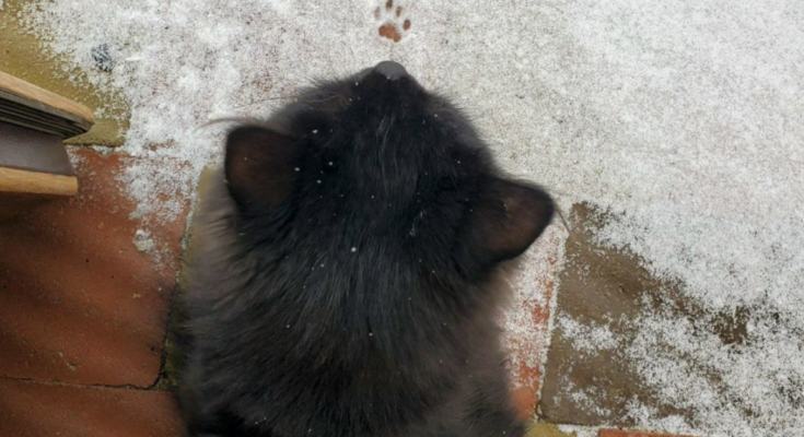 Морози до -20 і снігопади чи "зимова осінь" та постійні дощі: прогноз погоди від синоптиків на грудень