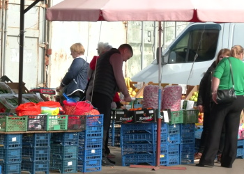 Ранні овочі. Фото: скрін youtube