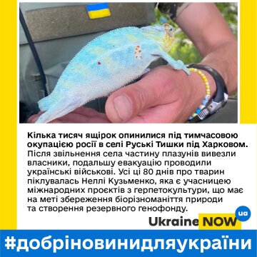 Гарні новини, фото: Ukraine NOW