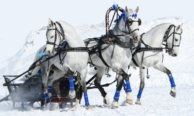 Введення в храм Пресвятої Богородиці 4 грудня: повір'я та прикмети