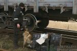 Закарпатські прикордонники знайшли "подарунки" від Путіна у несподіваному місці – проїхали через всю Україну