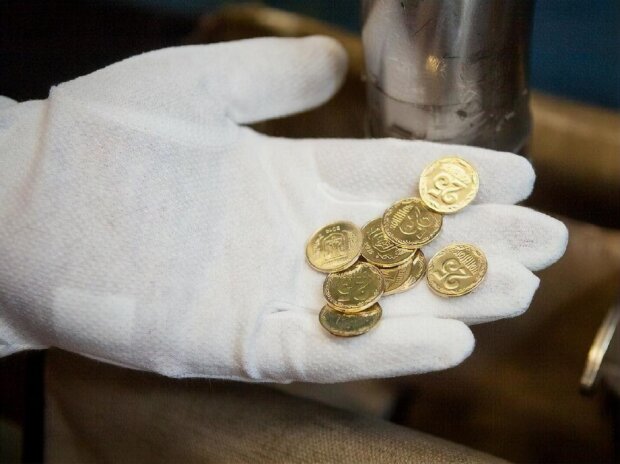 Монети. Фото: Гордон