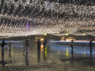 Украинцы, Киев, каток, фото из соцсетей