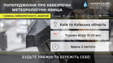 Попередження Гідрометцентру. Фото Telegram