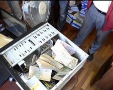 Конвеєрний бізнес: силовики викрили незаконну вирубку лісів (ФОТО)