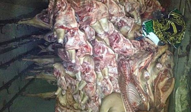 Контрабандисти намагалися провезти 13 тонн м'яса в "ДНР" (фото) 