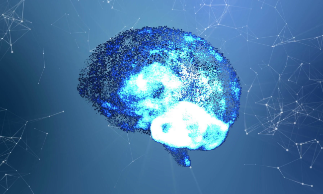 Смерть нейронам: навіщо мозок вбиває власні клітини