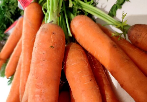 Морковь, фото: Znaj.ua