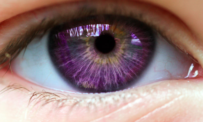 Окна души: как формируются человеческие глаза