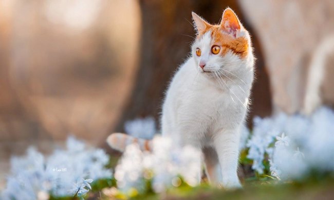 Погода на неделю: украинцам рассказали, когда наконец придет весна