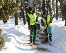 Львів, фото: ЛКП " Зелений Львів"