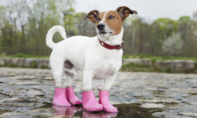 Погода на 8-9 вересня: синоптик порадила не виходити з дому