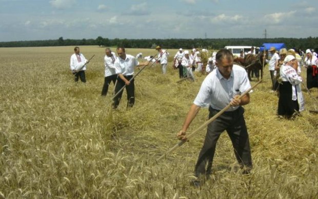Капризы природы: какой урожай ждать украинцам
