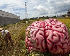 Лікарі 50 років проводили невдалий експеримент