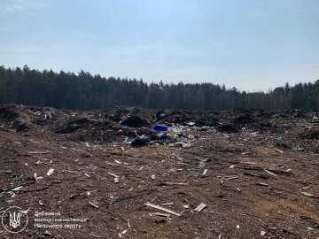 незаконна вирубка дерев