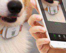 Xiaomi представила розумний нашийник