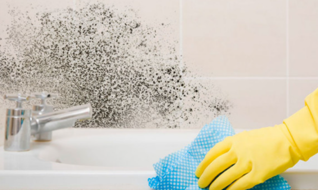 Цвіль у ванній, зображення з вільних джерел