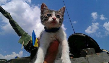 Бойові побратими бійців АТО:  пес Патрон та рятівниця Жужа (фото)