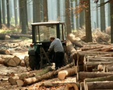 Боляче дивитись: у мережу злили фото знищення українських скарбів