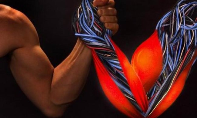 Штучні м'язи із полімеру зможуть  відновлюватися самостійно