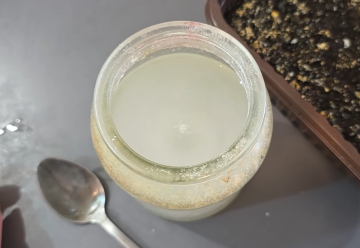 Питательный настой для рассады, кадр с видео